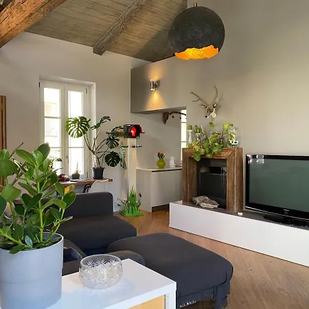 Tourinturin In Centro *